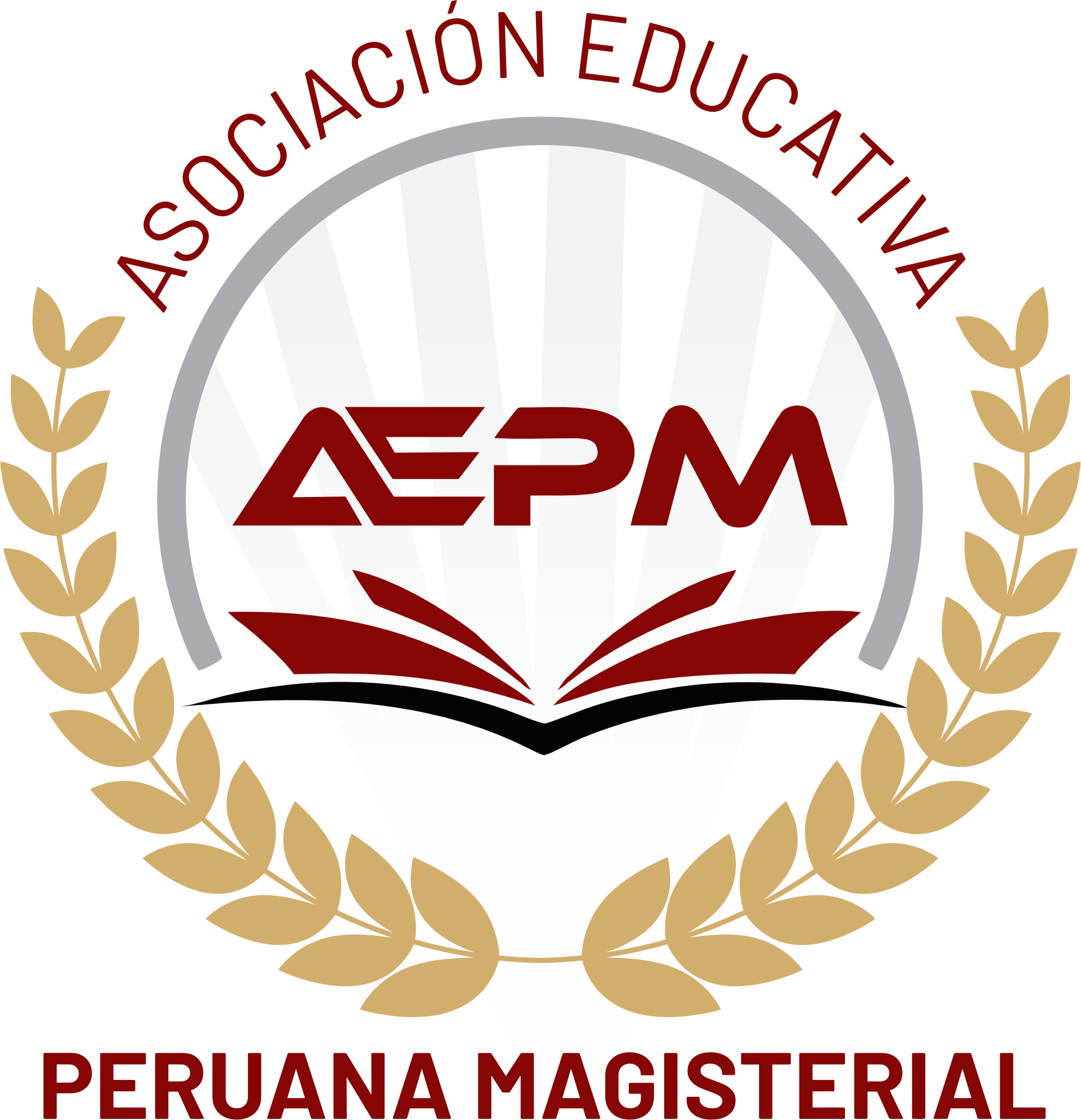 contactoaepm.com